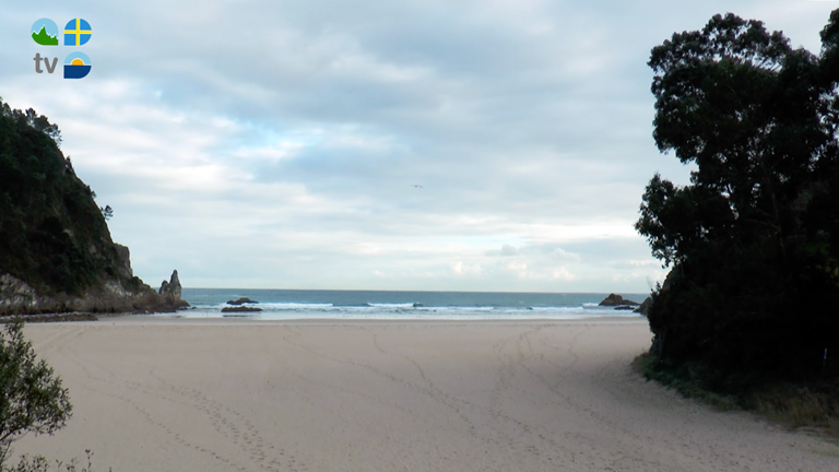 Playa de La Franca